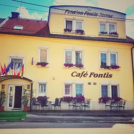 Penzion Fontis Terrae Hotel Trenčianske Teplice Eksteriør billede